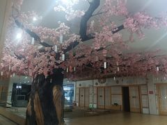 -上尚汤汤泉汗蒸(空港复悦里店)