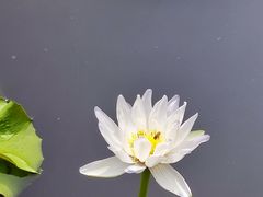 -云溪植物园