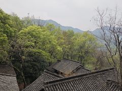 -中国茶叶博物馆(双峰馆区)