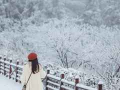 -四明山国家森林公园