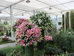 -上海鲜花港