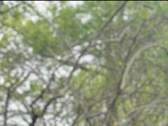 -成都南湖公园