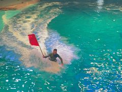 -芜湖新华联大白鲸海洋公园