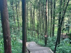 -凤栖山