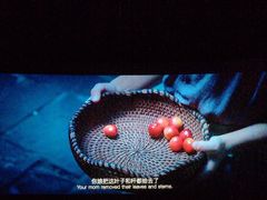 -SFC上影影城(北京大兴龙湖天街IMAX店)