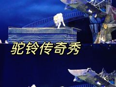 -《驼铃传奇》秀