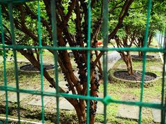 -迪茵湖田家舍生态农场