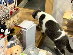-解忧集市(北京路天河城店)