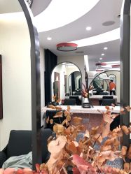 -IP SALON