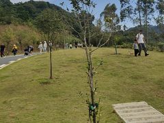 -黄埔油麻山森林公园