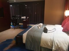 -常州环球恐龙城维景国际大酒店