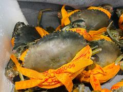 -田园居·佳宴(桑田路店)