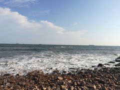 -九龙餐厅(大沽路店)