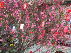 -仑头海鲜城(仑头环村南路店)