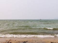 -瑶湖郊野森林公园