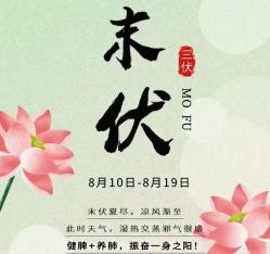 -雅曼妮spa美容养生