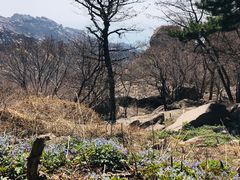 -崂山巨峰游览区
