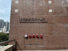 -香港大学