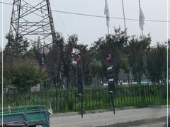 -王四营海鲜市场