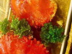 -茉莉.Red Crab