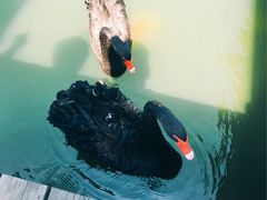 -鄱阳湖国家湿地公园
