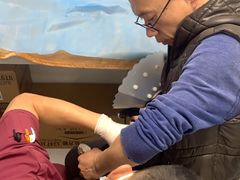 -纳吉亚猫专科动物诊疗中心(蒋宅口分院)