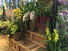 -L.C FLORA花予你(城西银泰城店)