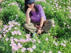 -汉长安城未央宫国家考古遗址公园