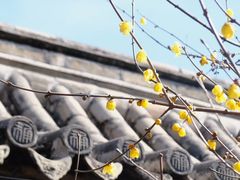 -胡氏古民居建筑