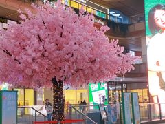 -砂之船奥莱(南京江宁店)