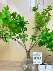 -变美丽半永久纹眉连锁·机器野生眉·洗眉