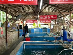 鱼池-荔景渔庄