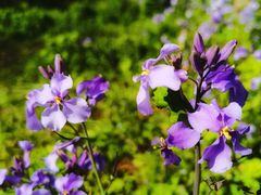 -停车场(临桂路)