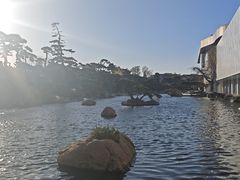 -罗红摄影艺术馆