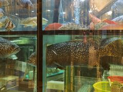 -金翠皇宫粤菜·点心·海鲜(科技园店)