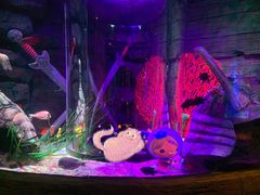 -沈阳海洋探索中心