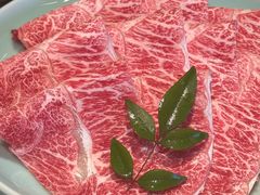 -然锅料理