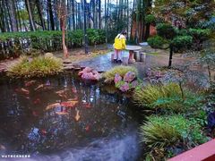 -故乡缘·香格里拉山庄(冷竹路店)