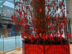 -上海雅居乐万豪侯爵酒店