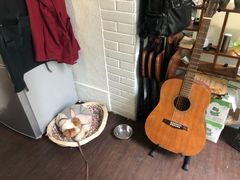 -微饮cafe