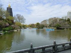 -红梅公园