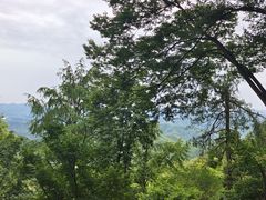-莫干山风景区