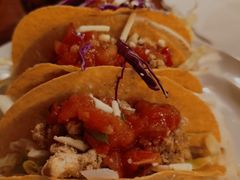 TACOS鸡肉玉米夹饼-么哈MOJAR(北京五道口店)