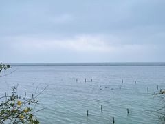 -贡湖湾湿地公园