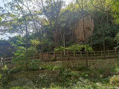 -大岭沟猕猴桃谷风景区