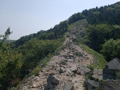 -北京鹫峰国家森林公园