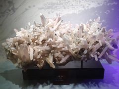 -甘肃地质博物馆