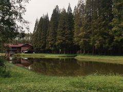 -黄海国家森林公园