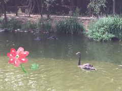 -济南野生动物世界