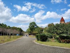 -上海海湾国家森林公园